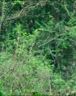 Filename=Leave_No_Trace_mp40767.jpg
Filesize=1345KiB
Dimensions=1920x1040
Date added=Jan 15, 2020 Leave_No_Trace_mp40767.jpg