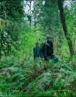 Filename=Leave_No_Trace_mp40781.jpg
Filesize=1979KiB
Dimensions=1920x1040
Date added=Jan 15, 2020 Leave_No_Trace_mp40781.jpg