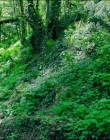 Filename=Leave_No_Trace_mp40823.jpg
Filesize=2071KiB
Dimensions=1920x1040
Date added=Jan 15, 2020 Leave_No_Trace_mp40823.jpg