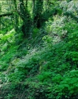 Filename=Leave_No_Trace_mp40827.jpg
Filesize=2057KiB
Dimensions=1920x1040
Date added=Jan 15, 2020 Leave_No_Trace_mp40827.jpg