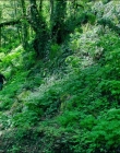 Filename=Leave_No_Trace_mp40828.jpg
Filesize=2030KiB
Dimensions=1920x1040
Date added=Jan 15, 2020 Leave_No_Trace_mp40828.jpg