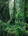 Filename=Leave_No_Trace_mp41056.jpg
Filesize=1871KiB
Dimensions=1920x1040
Date added=Jan 15, 2020 Leave_No_Trace_mp41056.jpg