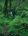 Filename=Leave_No_Trace_mp41067.jpg
Filesize=1889KiB
Dimensions=1920x1040
Date added=Jan 15, 2020 Leave_No_Trace_mp41067.jpg