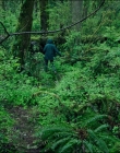 Filename=Leave_No_Trace_mp41068.jpg
Filesize=1888KiB
Dimensions=1920x1040
Date added=Jan 15, 2020 Leave_No_Trace_mp41068.jpg