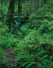 Filename=Leave_No_Trace_mp41069.jpg
Filesize=1899KiB
Dimensions=1920x1040
Date added=Jan 15, 2020 Leave_No_Trace_mp41069.jpg