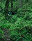 Filename=Leave_No_Trace_mp41071.jpg
Filesize=1906KiB
Dimensions=1920x1040
Date added=Jan 15, 2020 Leave_No_Trace_mp41071.jpg