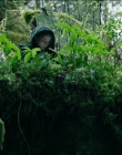 Filename=Leave_No_Trace_mp41091.jpg
Filesize=1415KiB
Dimensions=1920x1040
Date added=Jan 15, 2020 Leave_No_Trace_mp41091.jpg