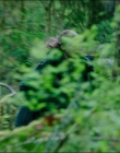 Filename=Leave_No_Trace_mp41189.jpg
Filesize=933KiB
Dimensions=1920x1040
Date added=Jan 15, 2020 Leave_No_Trace_mp41189.jpg