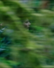 Filename=Leave_No_Trace_mp41191.jpg
Filesize=661KiB
Dimensions=1920x1040
Date added=Jan 15, 2020 Leave_No_Trace_mp41191.jpg