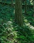Filename=Leave_No_Trace_mp41206.jpg
Filesize=1529KiB
Dimensions=1920x1040
Date added=Jan 15, 2020 Leave_No_Trace_mp41206.jpg