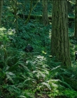 Filename=Leave_No_Trace_mp41207.jpg
Filesize=1529KiB
Dimensions=1920x1040
Date added=Jan 15, 2020 Leave_No_Trace_mp41207.jpg