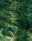 Filename=Leave_No_Trace_mp41210.jpg
Filesize=1637KiB
Dimensions=1920x1040
Date added=Jan 15, 2020 Leave_No_Trace_mp41210.jpg