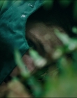 Filename=Leave_No_Trace_mp41222.jpg
Filesize=752KiB
Dimensions=1920x1040
Date added=Jan 15, 2020 Leave_No_Trace_mp41222.jpg