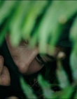 Filename=Leave_No_Trace_mp41283.jpg
Filesize=760KiB
Dimensions=1920x1040
Date added=Jan 15, 2020 Leave_No_Trace_mp41283.jpg