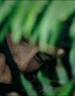 Filename=Leave_No_Trace_mp41284.jpg
Filesize=814KiB
Dimensions=1920x1040
Date added=Jan 15, 2020 Leave_No_Trace_mp41284.jpg