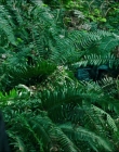 Filename=Leave_No_Trace_mp41301.jpg
Filesize=1479KiB
Dimensions=1920x1040
Date added=Jan 15, 2020 Leave_No_Trace_mp41301.jpg