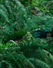 Filename=Leave_No_Trace_mp41302.jpg
Filesize=1491KiB
Dimensions=1920x1040
Date added=Jan 15, 2020 Leave_No_Trace_mp41302.jpg