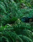 Filename=Leave_No_Trace_mp41303.jpg
Filesize=1492KiB
Dimensions=1920x1040
Date added=Jan 15, 2020 Leave_No_Trace_mp41303.jpg