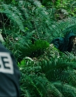Filename=Leave_No_Trace_mp41305.jpg
Filesize=1413KiB
Dimensions=1920x1040
Date added=Jan 15, 2020 Leave_No_Trace_mp41305.jpg