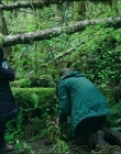 Filename=Leave_No_Trace_mp41431.jpg
Filesize=1572KiB
Dimensions=1920x1040
Date added=Jan 15, 2020 Leave_No_Trace_mp41431.jpg
