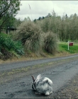 Leave_No_Trace_mp42615.jpg
