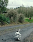 Leave_No_Trace_mp42616.jpg