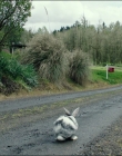 Leave_No_Trace_mp42617.jpg