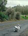 Leave_No_Trace_mp42618.jpg