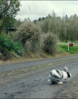 Leave_No_Trace_mp42619.jpg