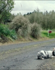 Leave_No_Trace_mp42622.jpg