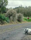 Filename=Leave_No_Trace_mp42623.jpg
Filesize=1685KiB
Dimensions=1920x1040
Date added=Jan 15, 2020 Leave_No_Trace_mp42623.jpg