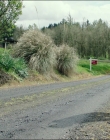 Filename=Leave_No_Trace_mp42628.jpg
Filesize=1558KiB
Dimensions=1920x1040
Date added=Jan 15, 2020 Leave_No_Trace_mp42628.jpg