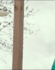 Filename=Leave_No_Trace_mp42720.jpg
Filesize=740KiB
Dimensions=1920x1040
Date added=Jan 15, 2020 Leave_No_Trace_mp42720.jpg
