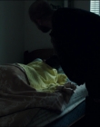 Filename=Leave_No_Trace_mp43083.jpg
Filesize=674KiB
Dimensions=1920x1040
Date added=Jan 15, 2020 Leave_No_Trace_mp43083.jpg
