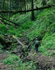 Filename=Leave_No_Trace_mp43146.jpg
Filesize=2094KiB
Dimensions=1920x1040
Date added=Jan 15, 2020 Leave_No_Trace_mp43146.jpg