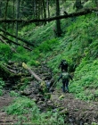 Filename=Leave_No_Trace_mp43147.jpg
Filesize=2090KiB
Dimensions=1920x1040
Date added=Jan 15, 2020 Leave_No_Trace_mp43147.jpg