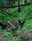 Filename=Leave_No_Trace_mp43150.jpg
Filesize=2064KiB
Dimensions=1920x1040
Date added=Jan 15, 2020 Leave_No_Trace_mp43150.jpg