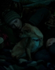 Filename=Leave_No_Trace_mp43622.jpg
Filesize=507KiB
Dimensions=1920x1040
Date added=Jan 15, 2020 Leave_No_Trace_mp43622.jpg