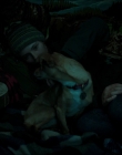 Filename=Leave_No_Trace_mp43623.jpg
Filesize=506KiB
Dimensions=1920x1040
Date added=Jan 15, 2020 Leave_No_Trace_mp43623.jpg