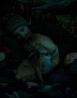 Filename=Leave_No_Trace_mp43624.jpg
Filesize=517KiB
Dimensions=1920x1040
Date added=Jan 15, 2020 Leave_No_Trace_mp43624.jpg