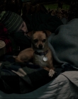 Filename=Leave_No_Trace_mp43651.jpg
Filesize=739KiB
Dimensions=1920x1040
Date added=Jan 15, 2020 Leave_No_Trace_mp43651.jpg