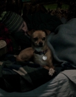 Filename=Leave_No_Trace_mp43652.jpg
Filesize=747KiB
Dimensions=1920x1040
Date added=Jan 15, 2020 Leave_No_Trace_mp43652.jpg