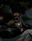Filename=Leave_No_Trace_mp43653.jpg
Filesize=759KiB
Dimensions=1920x1040
Date added=Jan 15, 2020 Leave_No_Trace_mp43653.jpg