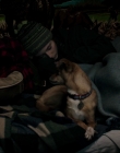 Filename=Leave_No_Trace_mp43675.jpg
Filesize=717KiB
Dimensions=1920x1040
Date added=Jan 15, 2020 Leave_No_Trace_mp43675.jpg