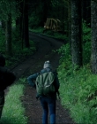Leave_No_Trace_mp43709.jpg