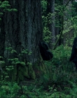 Filename=Leave_No_Trace_mp43720.jpg
Filesize=1275KiB
Dimensions=1920x1040
Date added=Jan 15, 2020 Leave_No_Trace_mp43720.jpg
