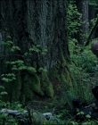 Filename=Leave_No_Trace_mp43729.jpg
Filesize=1315KiB
Dimensions=1920x1040
Date added=Jan 15, 2020 Leave_No_Trace_mp43729.jpg