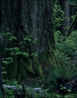 Filename=Leave_No_Trace_mp43733.jpg
Filesize=1321KiB
Dimensions=1920x1040
Date added=Jan 15, 2020 Leave_No_Trace_mp43733.jpg