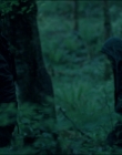 Leave_No_Trace_mp43772.jpg