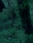 Leave_No_Trace_mp43773.jpg